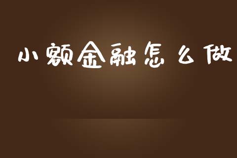 小额金融怎么做_https://m.qdlswl.com_恒指在线直播间_第1张