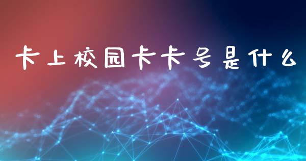 卡上校园卡卡号是什么_https://m.qdlswl.com_纳指直播_第1张