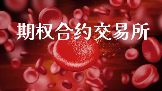 期权合约交易所_https://m.qdlswl.com_纳指直播_第1张