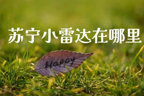 苏宁小雷达在哪里_https://m.qdlswl.com_纳指直播_第1张
