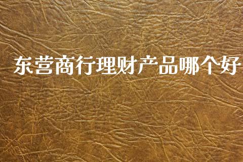 东营商行理财产品哪个好_https://m.qdlswl.com_恒指德指直播室_第1张