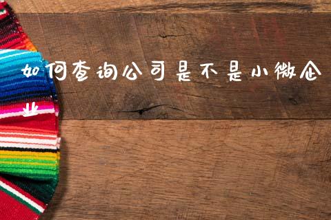 如何查询公司是不是小微企业_https://m.qdlswl.com_纳指直播_第1张