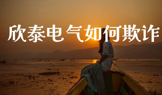 欣泰电气如何欺诈_https://m.qdlswl.com_恒生指数直播喊单_第1张