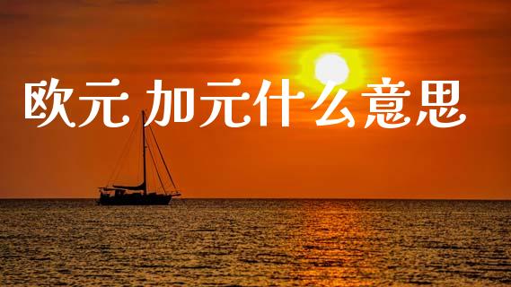欧元 加元什么意思_https://m.qdlswl.com_恒生指数直播喊单_第1张