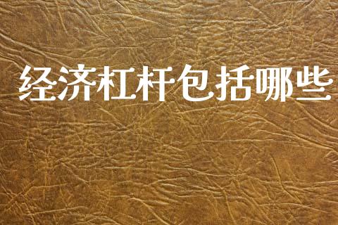 经济杠杆包括哪些_https://m.qdlswl.com_恒生指数直播喊单_第1张