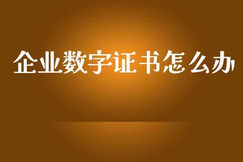 企业数字证书怎么办_https://m.qdlswl.com_纳指直播_第1张