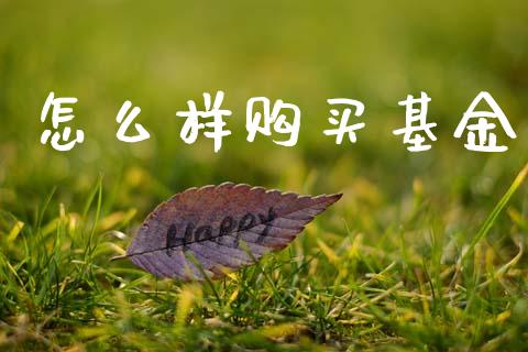怎么样购买基金_https://m.qdlswl.com_恒指在线直播间_第1张
