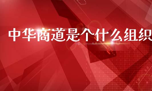 中华商道是个什么组织_https://m.qdlswl.com_恒生指数直播喊单_第1张