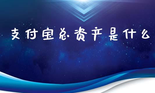 支付宝总资产是什么_https://m.qdlswl.com_恒指在线直播间_第1张