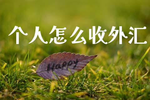 个人怎么收外汇_https://m.qdlswl.com_恒指德指直播室_第1张