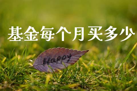 基金每个月买多少_https://m.qdlswl.com_恒指德指直播室_第1张