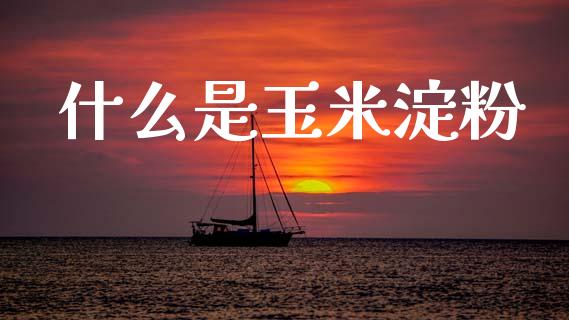 什么是玉米淀粉_恒指德指直播室_第1张_恒生指数直播喊单_恒指在线直播间_恒指德指直播室_纳指直播 什么是玉米淀粉_https://m.qdlswl.com_恒指德指直播室_第1张