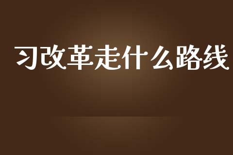 习改革走什么路线_https://m.qdlswl.com_恒指在线直播间_第1张