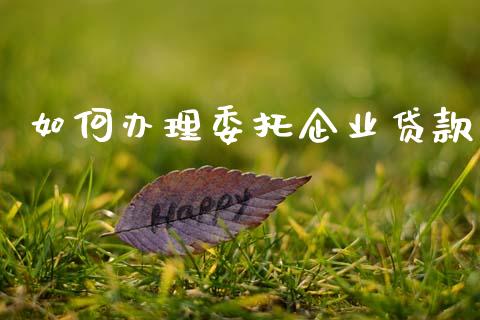 如何办理委托企业贷款_https://m.qdlswl.com_恒指在线直播间_第1张