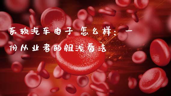 东软汽车电子 怎么样：一份从业者的粗浅看法_https://m.qdlswl.com_恒生指数直播喊单_第1张