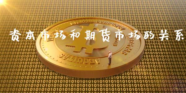 资本市场和期货市场的关系_https://m.qdlswl.com_恒指德指直播室_第1张