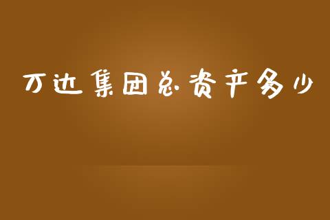 万达集团总资产多少_https://m.qdlswl.com_纳指直播_第1张
