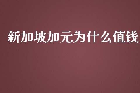 新加坡加元为什么值钱_https://m.qdlswl.com_恒生指数直播喊单_第1张