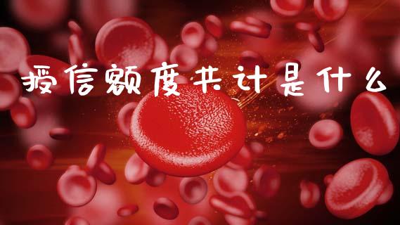 授信额度共计是什么_https://m.qdlswl.com_恒指德指直播室_第1张