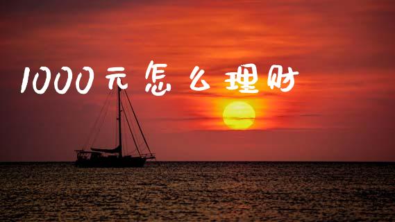 1000元怎么理财_https://m.qdlswl.com_恒生指数直播喊单_第1张