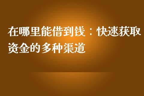 在哪里能借到钱：快速获取资金的多种渠道_https://m.qdlswl.com_恒指德指直播室_第1张