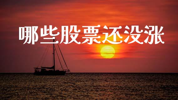 哪些股票还没涨_https://m.qdlswl.com_恒指在线直播间_第1张