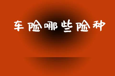 车险哪些险种_https://m.qdlswl.com_恒生指数直播喊单_第1张