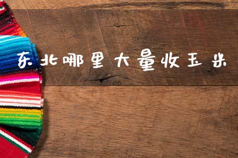 东北哪里大量收玉米_https://m.qdlswl.com_恒指在线直播间_第1张