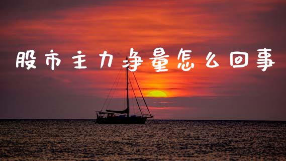 股市主力净量怎么回事_https://m.qdlswl.com_纳指直播_第1张
