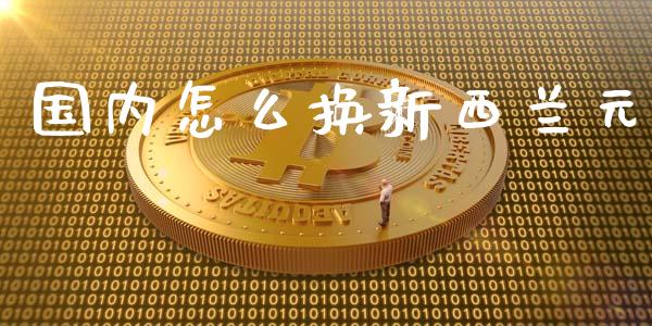 国内怎么换新西兰元_https://m.qdlswl.com_纳指直播_第1张