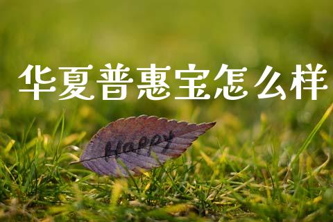 华夏普惠宝怎么样_https://m.qdlswl.com_恒指在线直播间_第1张