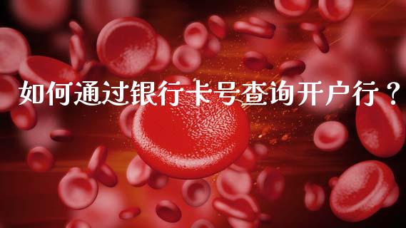 如何通过银行卡号查询开户行？_https://m.qdlswl.com_恒指德指直播室_第1张
