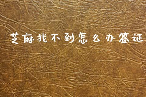 芝麻找不到怎么办签证_https://m.qdlswl.com_恒指德指直播室_第1张