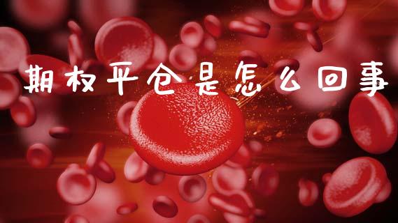 期权平仓是怎么回事_https://m.qdlswl.com_恒指德指直播室_第1张