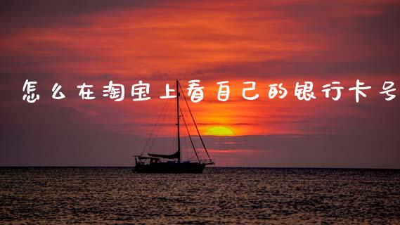 怎么在淘宝上看自己的银行卡号_https://m.qdlswl.com_恒生指数直播喊单_第1张