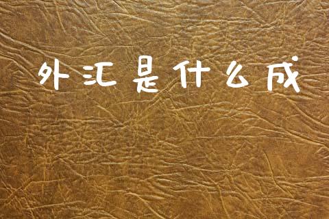 外汇是什么成_https://m.qdlswl.com_恒指在线直播间_第1张