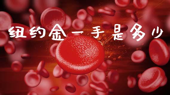 纽约金一手是多少_https://m.qdlswl.com_纳指直播_第1张