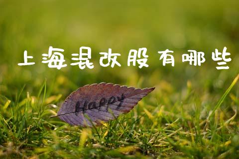 上海混改股有哪些_https://m.qdlswl.com_纳指直播_第1张