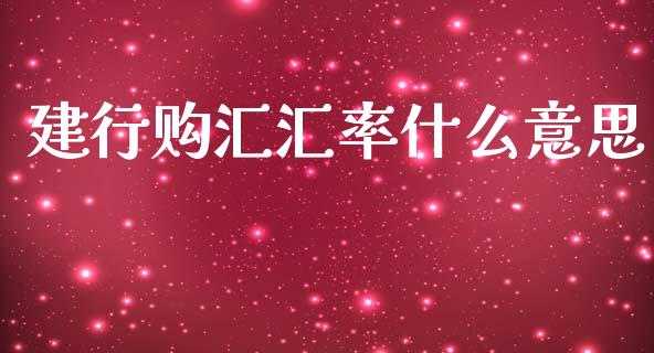 建行购汇汇率什么意思_https://m.qdlswl.com_纳指直播_第1张