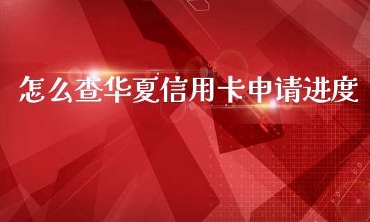 怎么查华夏信用卡申请进度_https://m.qdlswl.com_纳指直播_第1张