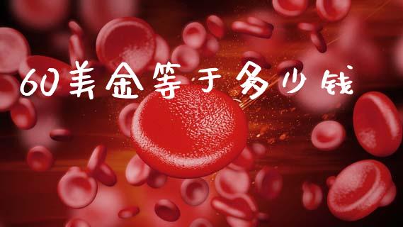 60美金等于多少钱_https://m.qdlswl.com_恒生指数直播喊单_第1张