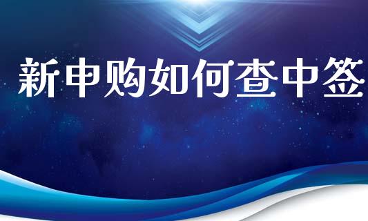 新申购如何查中签_https://m.qdlswl.com_恒生指数直播喊单_第1张