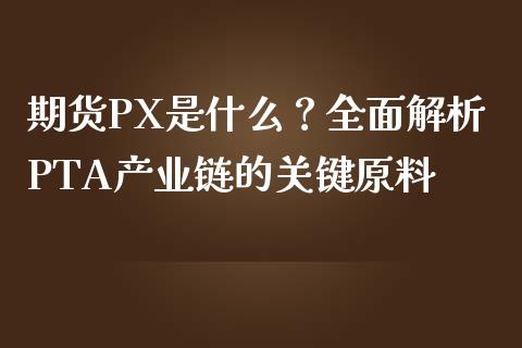 期货PX是什么？全面解析PTA产业链的关键原料_https://m.qdlswl.com_恒生指数直播喊单_第1张