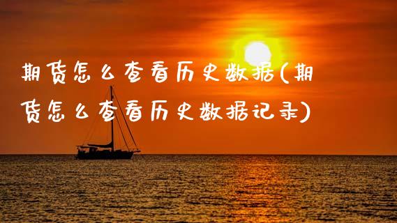 期货怎么查看历史数据(期货怎么查看历史数据记录)_https://m.qdlswl.com_恒生指数直播喊单_第1张