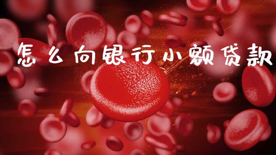 怎么向银行小额贷款_https://m.qdlswl.com_恒指在线直播间_第1张