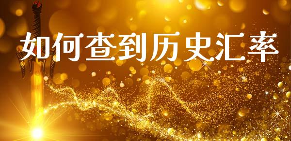 如何查到历史汇率_https://m.qdlswl.com_恒生指数直播喊单_第1张