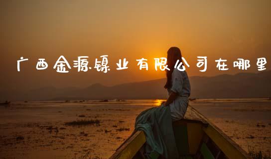 广西金源镍业有限公司在哪里_https://m.qdlswl.com_纳指直播_第1张