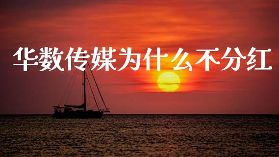 华数传媒为什么不分红_https://m.qdlswl.com_恒指在线直播间_第1张