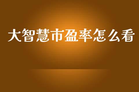大智慧市盈率怎么看_https://m.qdlswl.com_纳指直播_第1张