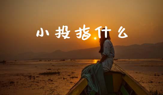 小投指什么_恒生指数直播喊单_第1张_恒生指数直播喊单_恒指在线直播间_恒指德指直播室_纳指直播 小投指什么_https://m.qdlswl.com_恒生指数直播喊单_第1张